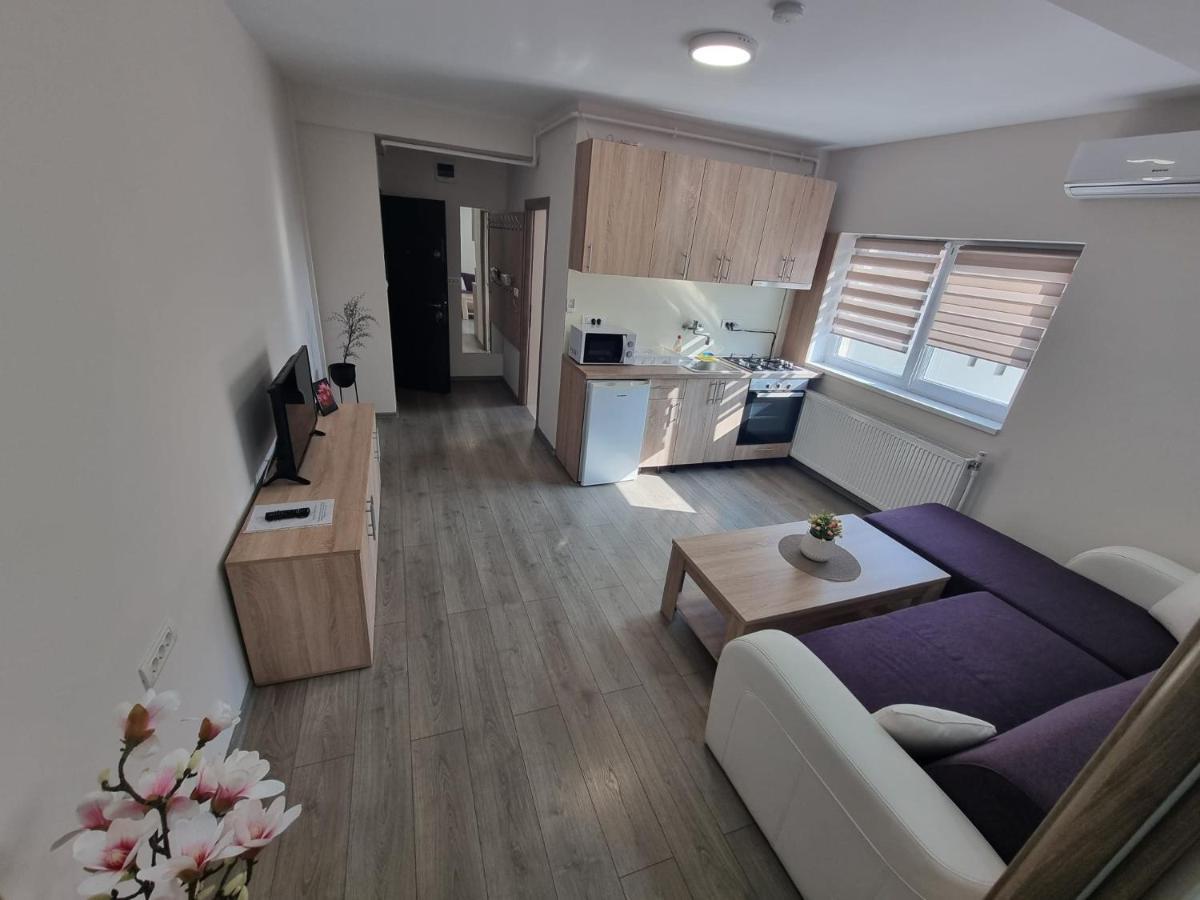 City Premium Apartments Timisoara Exterior foto
