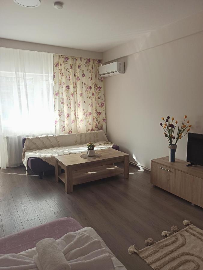 City Premium Apartments Timisoara Exterior foto